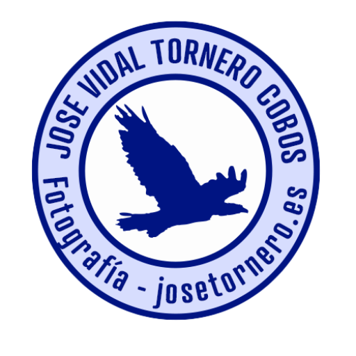 José Vidal Tornero Cobos